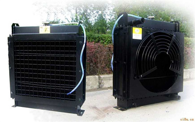 1713333731143254.jpeg 发机电水箱散热器总成.jpg